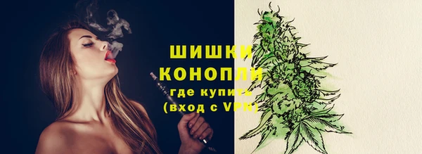 стафф Заводоуковск
