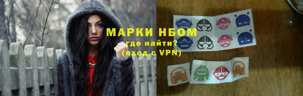 стафф Заводоуковск