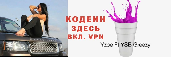 стафф Заводоуковск