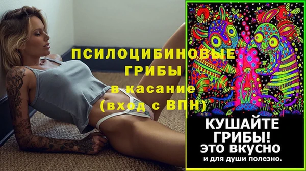 стафф Заводоуковск