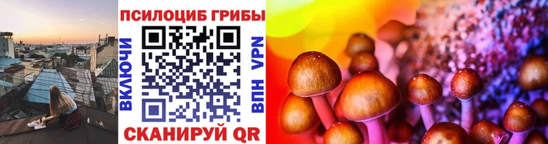 Псилоцибиновые грибы Cubensis  Купить  Кореновск 